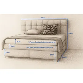 mebloland Boxspringbett VERONA 180 x 200 cm mit zwei 7-Zonen-Taschenfederkernmatratzen und gepolstertem Kopfteil. Farbe Beige - Beige