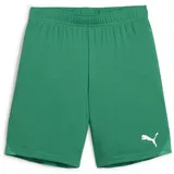 Puma teamGOAL Shorts Kinder - 140