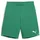 Puma teamGOAL Shorts Kinder - 140