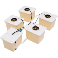 Estabeter Hydroponisches Anzuchtsystem, DWC Grow System 5 Bucket Kit, Deep Water Culture Hydroponic System, Hydrokultur Grow System Kit Anzucht-System Indoor Water Growing