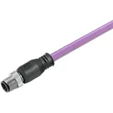 Weidmüller Kabel SAIL-M12G-PB-40D