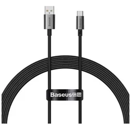 Baseus P10320102114-01 USB-Ladekabel (schwarz)