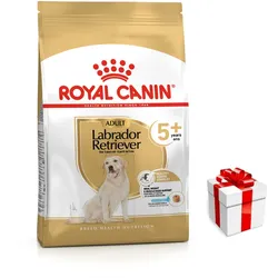 ROYAL CANIN Labrador +5 12kg + Überraschung für den Hund