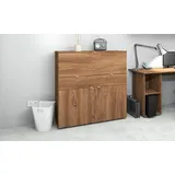 borchardt Möbel Sekretär Dolly, platzsparend, Home-Office-Schreibtisch, Breite 110 cm, Made in Germany beige