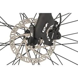 ADORE UBR-770 28 Zoll RH 52 cm Unisex grau