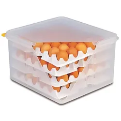 APS 82420 10 Lagen zu Eier-Box  je 28 x 28 cm