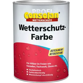 Consolan Wetterschutzfarbe Grün 2,5 l