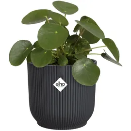 elho Vibes Fold Rund Ø 22 x 20,2 cm Schwarz