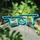 YY Vertical Plasfun Evo Kletterbrille Blau