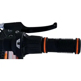 Volare Rocky 24 Zoll RH 31 cm blau