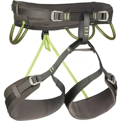 Klettergurt Energy CR4 grau|HELLGRÜN M/XL