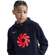 Nike Hoodie blau L