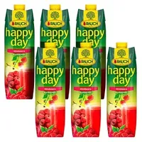 Happy Day Fruchtnektar Himbeere 6x1,0 l