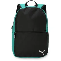 Puma teamGOAL Core Rucksack 04 sport green/black