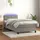 vidaXL Boxspringbett mit Matratze & LED Hellgrau 90x190 cm Samt