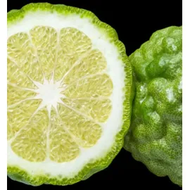 YODEYMA Caribbean Eau de Parfum 100 ml