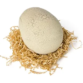 Spin Master Primal Hatch - Interaktiver T-Rex im Ei, 100 Soundeffekte und Reaktionen, interaktives Spielzeug für Kinder ab 5 Jahren