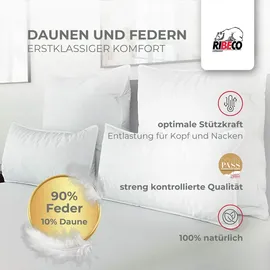 RIBECO Johanna Kopfkissen-Spar-Set 80 x 80 cm Weiß