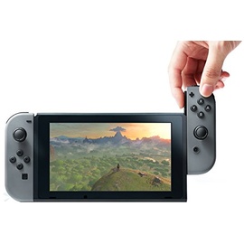 Nintendo Switch grau