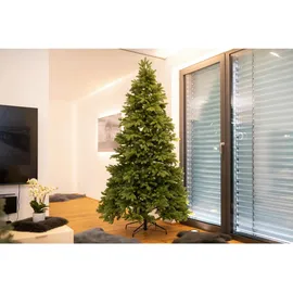 Evergreen Künstlicher Weihnachtsbaum Roswell Kiefer Grün 240 cm