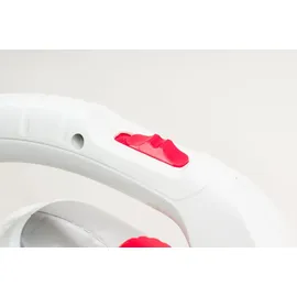 NAX Power Products Laubsauger + Laubbläser 3000 W