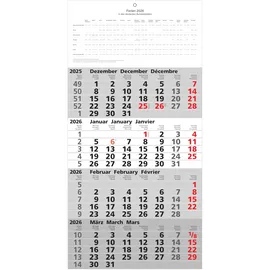 Adina Viermonatskalender 60x30cm 2026