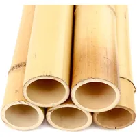 1 Stück Bambusrohr 200cm mit dickem Durchmesser von 10-12cm gelblich gebleicht - XL Moso Bambus 2m lang