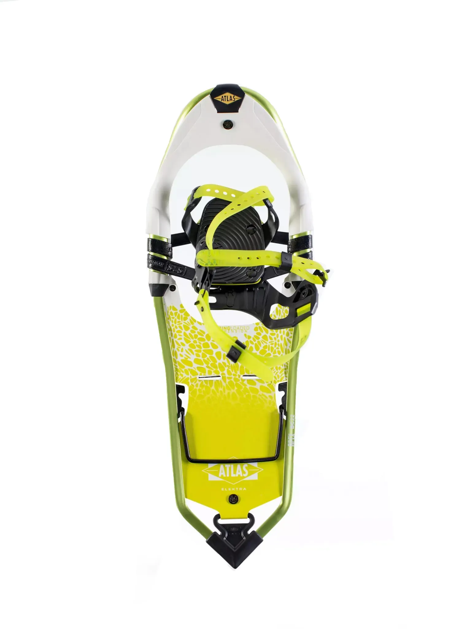 Atlas APEX BC 27 W Backcountry Schneeschuhe Damen grün/weiß