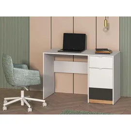 Feldmann-Wohnen Schreibtisch Torino Computertisch 120x55x79cm weiß Eiche Castello graphit 1-türig - Weiß
