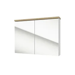 Spiegelschrank   ¦ mehrfarbig ¦ Maße (cm): B: 80 H: 60 T: 15.0