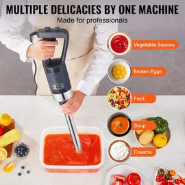 Vevor Kommerzieller Stabmixer 500W Handmixer