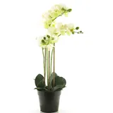 Kunstorchidee Kunstblume Phalaenopsis Orchidee CHENXU, weiß, 55 cm Orchidee (Orchidee phalaenopsis), artplants weiß