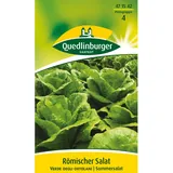 Quedlinburger Römischer Salat ''Verde degli ortolani''