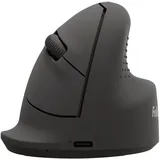 Fellowes Breyta schwarz
