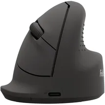 Fellowes Breyta schwarz