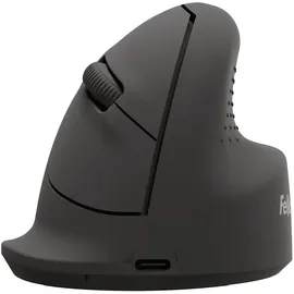 Fellowes Breyta schwarz