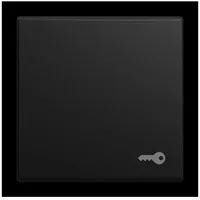 Busch-Jaeger Wippe mit Aufdruck 2520 TR-915