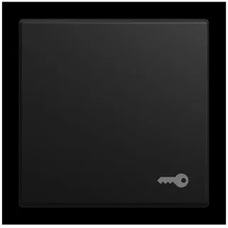 Busch-Jaeger Wippe mit Aufdruck 2520 TR-915