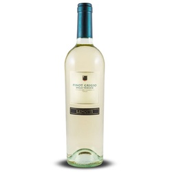 Pinot Grigio DOC, Lenotti 2023
