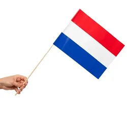 10 Papier Fahnen Niederlande Holland 20 x 30 cm Handfahnen