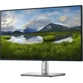 Dell P2425H