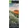 Neumann Magie des Augenblicks Wandkalender 2027 34x98 cm