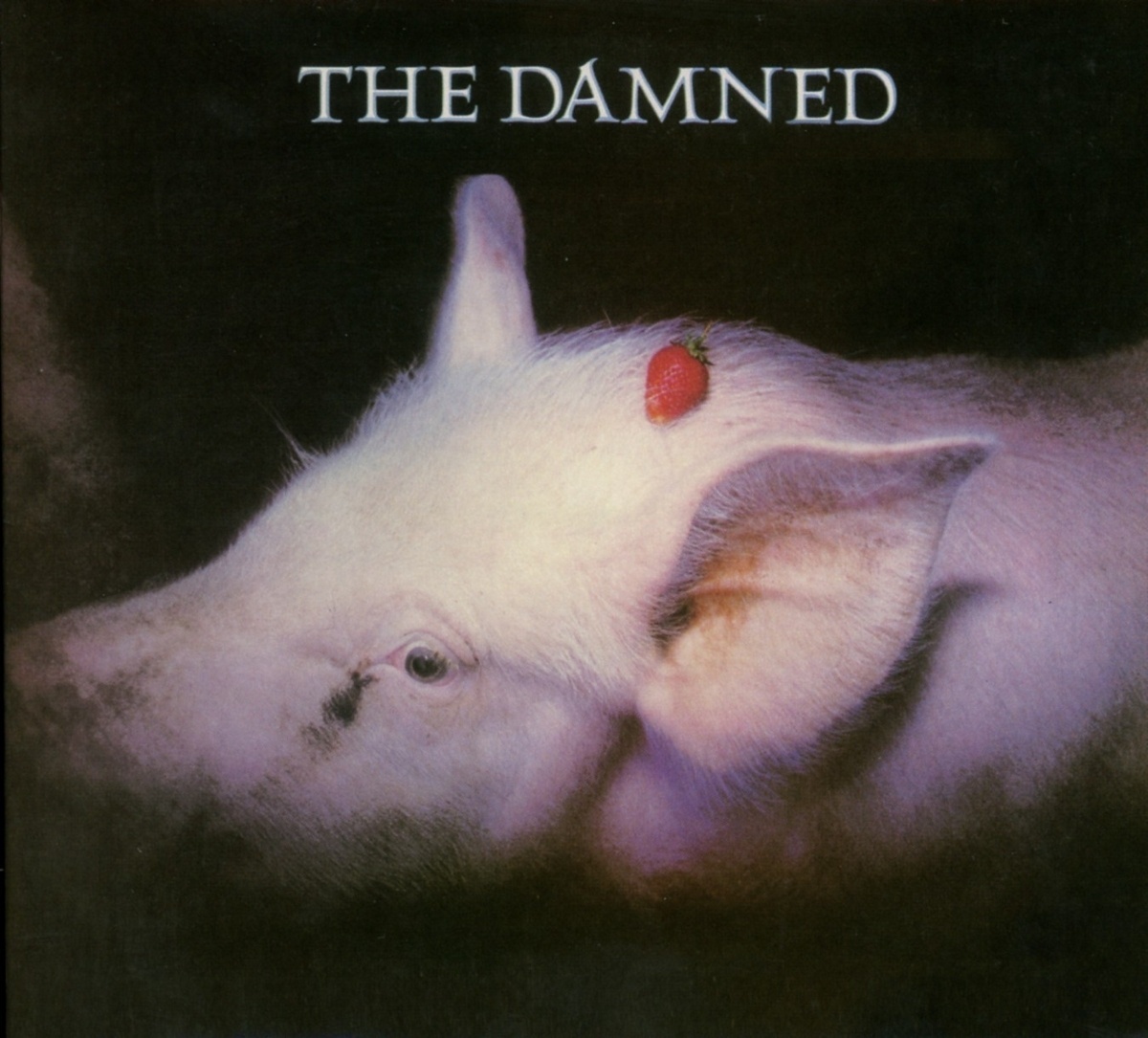 Strawberries - The Damned. (CD)