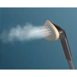 Philips Stand Steamer 3000 Series STE3170/80