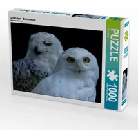 Calvendo Greifvögel - Schneeeule Puzzle