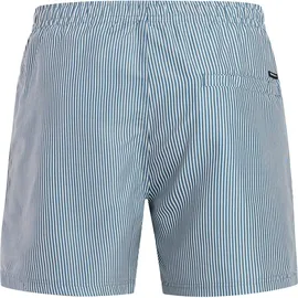 Protest Badeshorts PRTMarama Blau XL