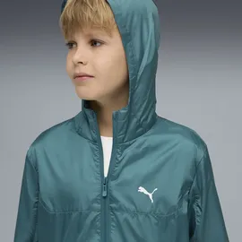 Puma Windbreaker Grün 164