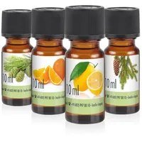 Höfer Chemie 4x 10 ml 4x Duftöl-Set 1 mit