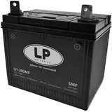 Landport Batterie 12V 24Ah für Rasenmäher Rasentraktor LB U1-300MF