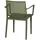 Siena Garden Stapelsessel-Set Lane 4-teilig Olive